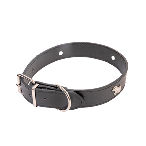 Collar Para Perro 57X3Cm