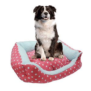 Cama Moises Mascotas 48Cm