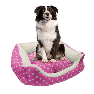 Cama Moises Mascotas 53Cm